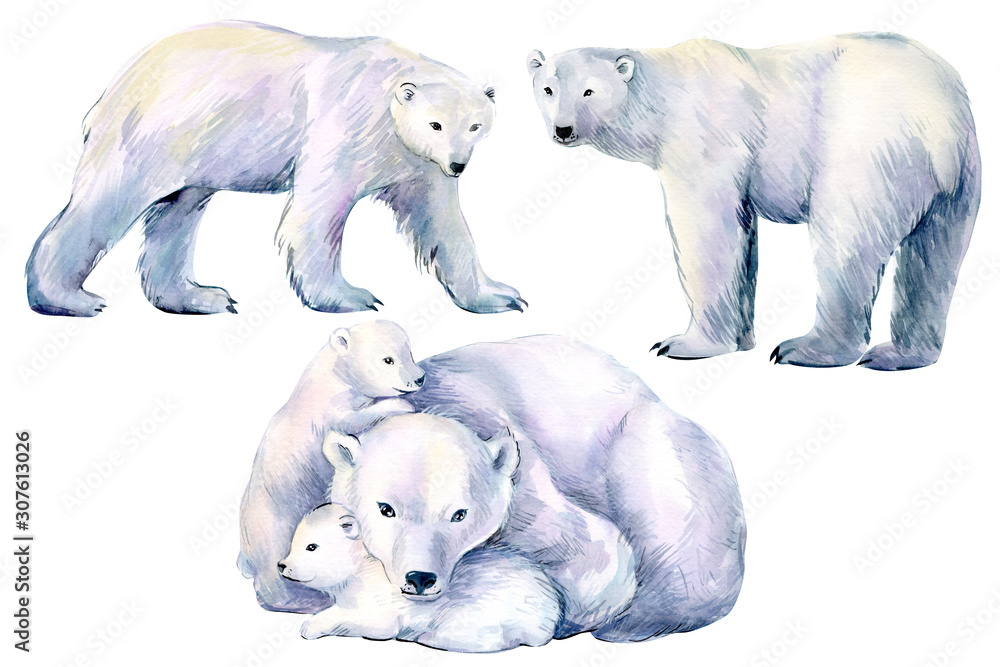 set of polar bear, winter animals on an isolated white background, watercolor illustration set of polar bear, winter animals on an isolated white background, watercolor illustration