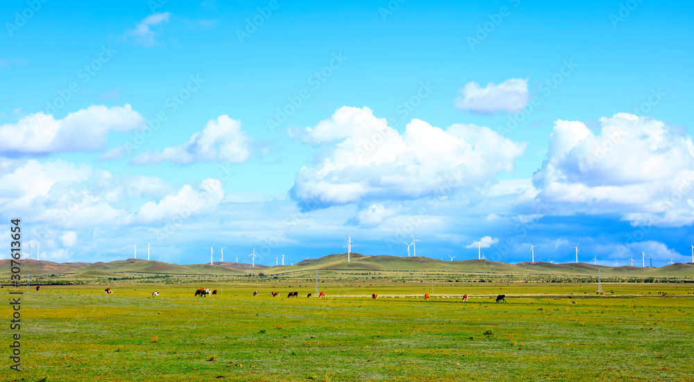 Obraz premium Cattle and wind turbines in the grassland