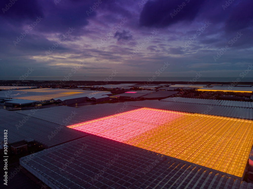 aerial view of a modern agricultural greenhouse in the Netherlands that uses LED lights to support the growth of the plants; Westland, Netherlands