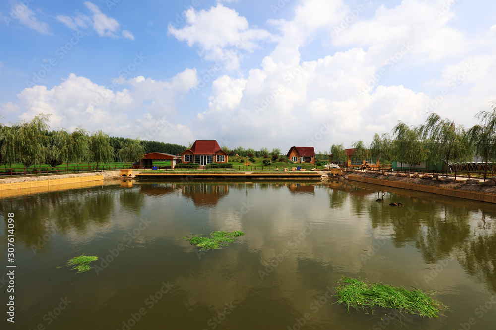 Obraz premium Summer view of the pond in the park