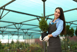 Female business owner with potted plant in greenhouse. Space for text
