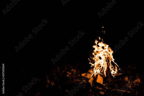 flame and logs in camp fire in darkness in the night