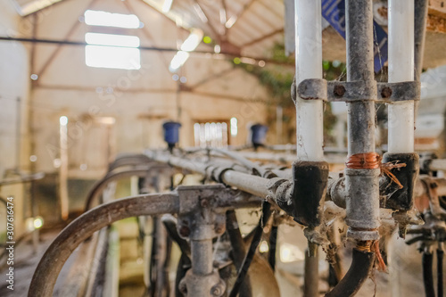 Shallow focus of a milking machine, pipework and collection flasks seen in an abandoned milking parlour. Rust can be seen on various pieces of machinery.