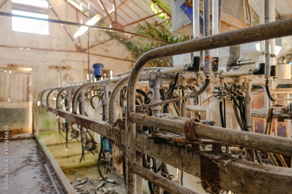 Shallow focus of pipework used in an abandoned cow milking machine parlour, long since fallen into disrepair following a BSE outbreak. Milk collection flasks are shown