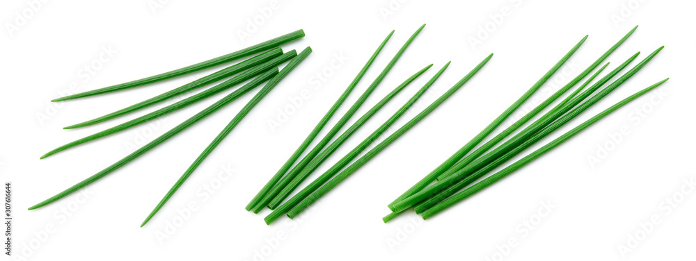 Chives isolated. Young green onion. Collection. Flat lay. Top view. - obrazy, fototapety, plakaty 