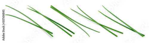 Chives isolated. Young green onion. Collection. Flat lay. Top view. photo