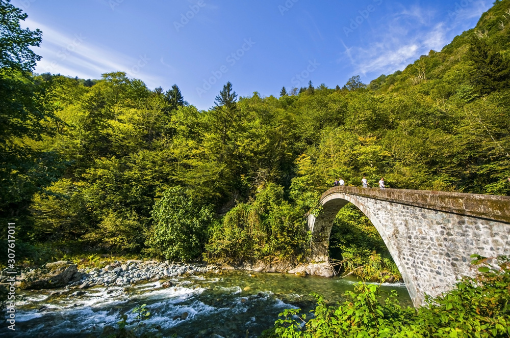 Fototapeta premium bridge over the river artvin turkey çifteköprüler 