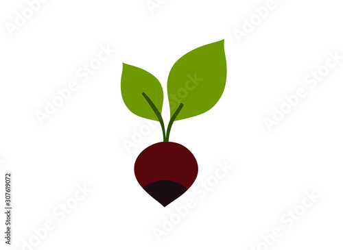 abstract beet on a white background