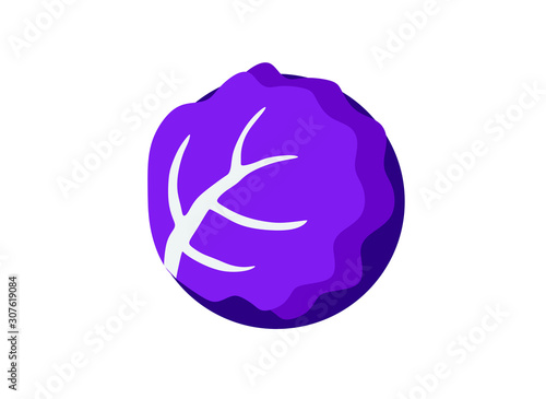 abstract purple cabbage on a white background
