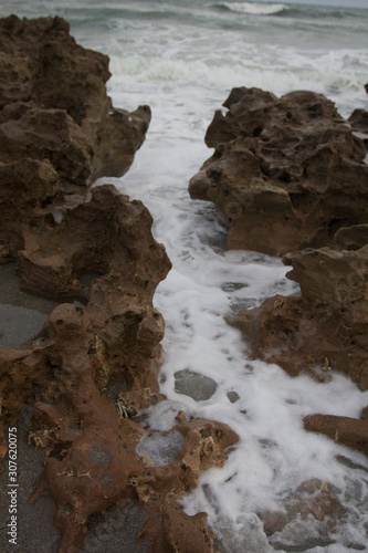 Coral Cove Park, Tequesta, Florida photo