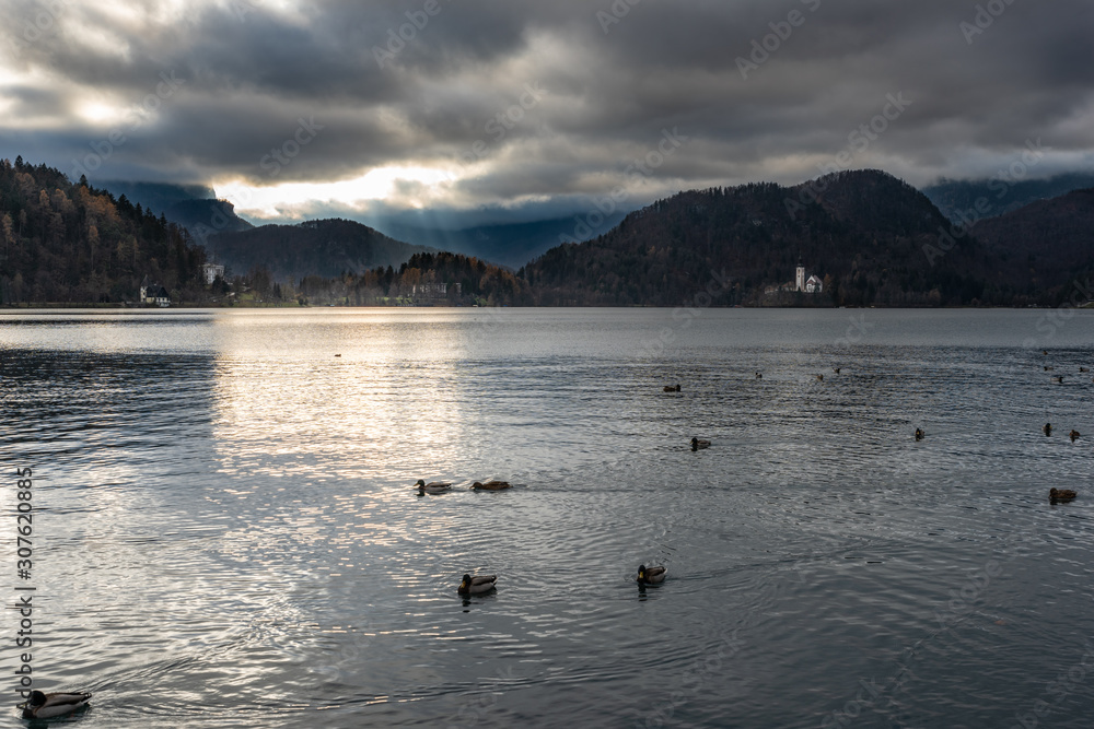 Island in Lake Bled. Dreamlike atmosphere for the Church of S. Maria Assunta. slovenia Island in Lake Bled. Dreamlike atmosphere for the Church of S. Maria Assunta. slovenia