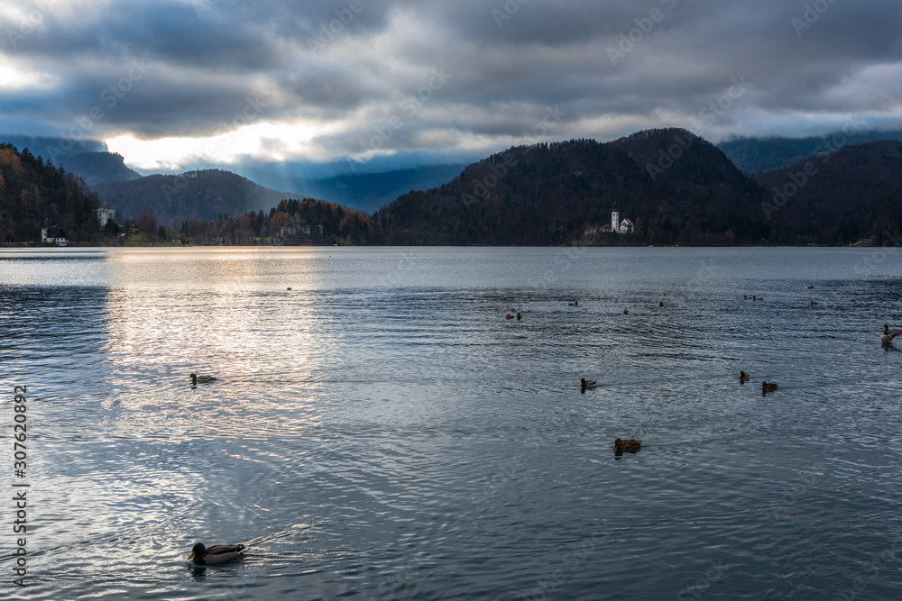 Island in Lake Bled. Dreamlike atmosphere for the Church of S. Maria Assunta. slovenia Island in Lake Bled. Dreamlike atmosphere for the Church of S. Maria Assunta. slovenia