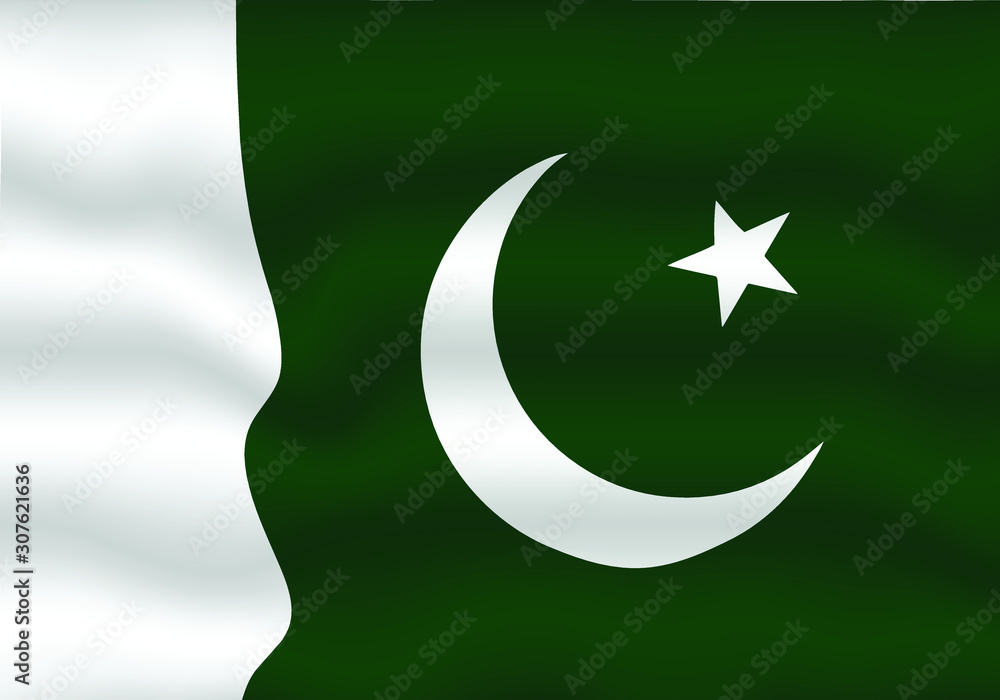 Vector illustration of the flag of Pakistan, can be used as background, wallpaper, project, template and other. Vector illustration of the flag of Pakistan, can be used as background, wallpaper, project, template and other.