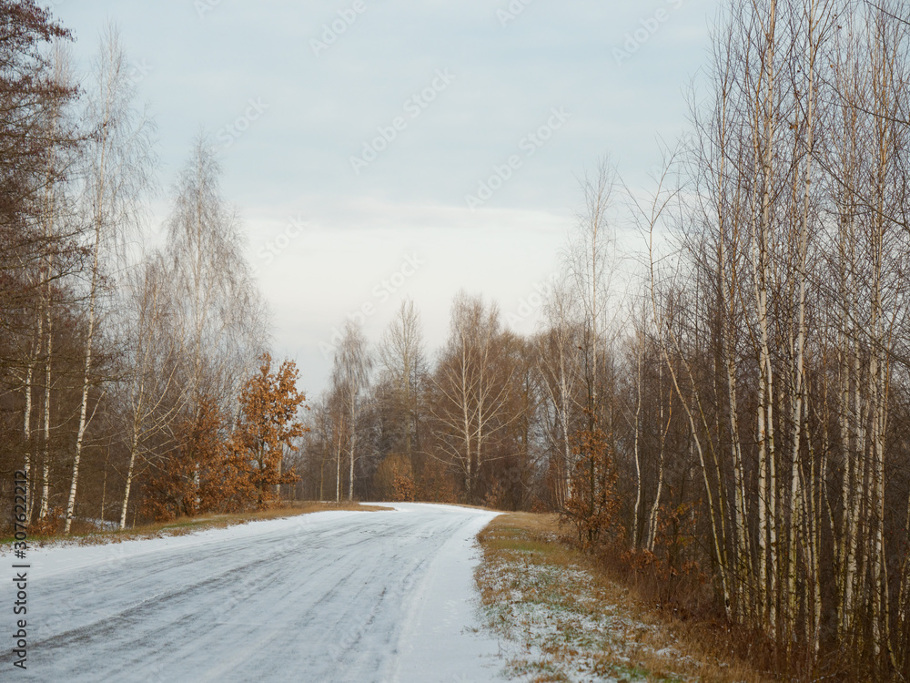 first snow. winter forest snowy white road first snow. winter forest snowy white road