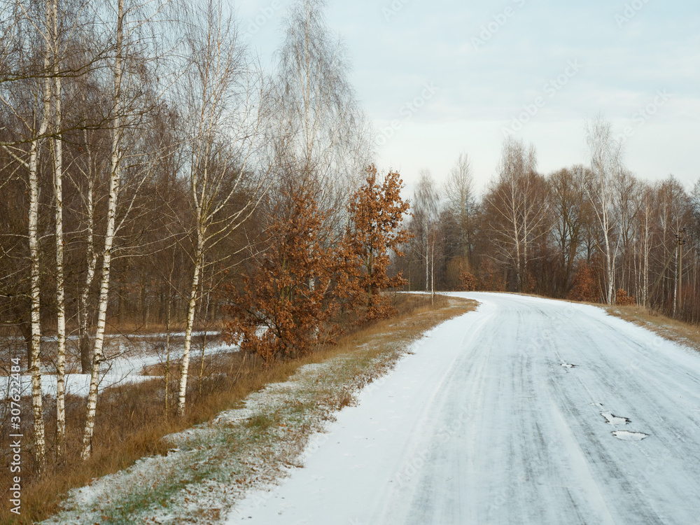 Fototapeta premium first snow. winter forest snowy white road