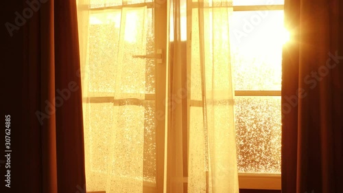 sunbeams through transparent curtain of opened window at the time of beautiful red sunset with the light breeze