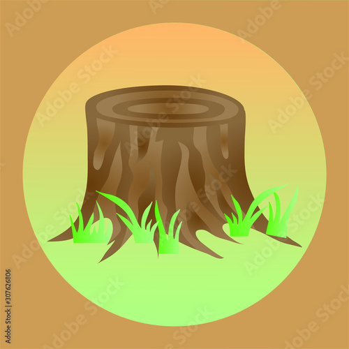 Autumn background in soft warm tone