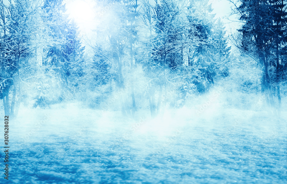 Winter background. Snow-covered winter forest, snowdrifts, fog Winter background. Snow-covered winter forest, snowdrifts, fog