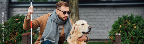 Photos Panoramic shot of blind man hugging guide dog on street