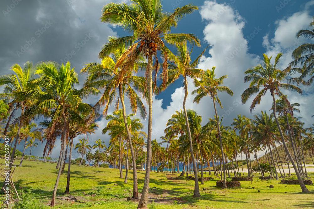 Fototapeta premium Beach Easter Island