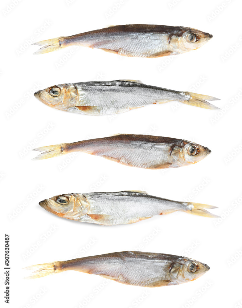 Set of tasty dry fish on white background Set of tasty dry fish on white background