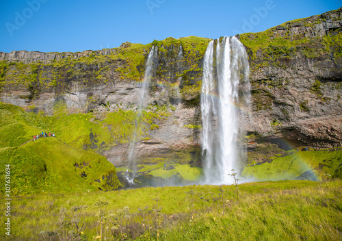 Fototapeta Naklejka Na Ścianę i Meble -  Iceland landscape. Seljalandfoss Waterfalls in summer season