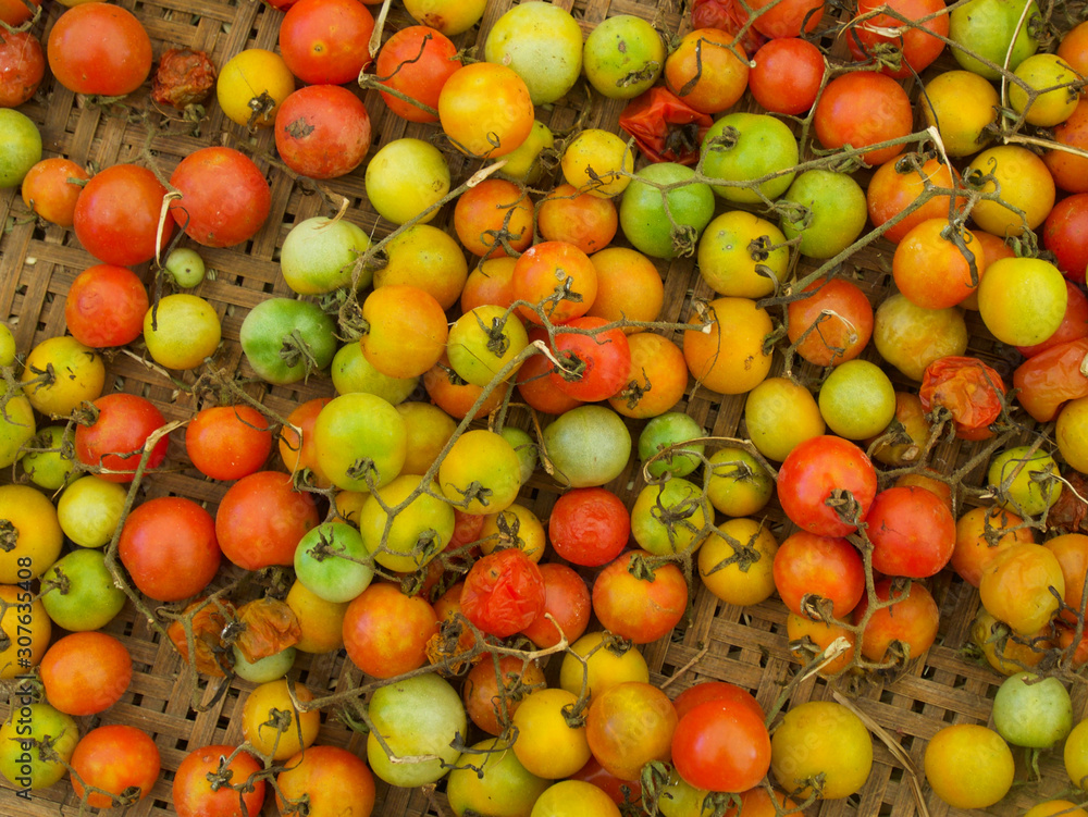 Sour and sweet wild tomatoes used as an ingredient of prepared dishes. Sour and sweet wild tomatoes used as an ingredient of prepared dishes.