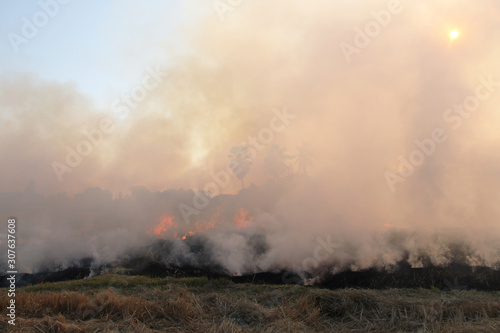 The agricultural waste burning cause of smog and pollution