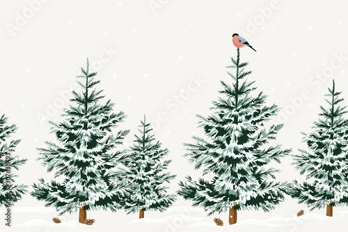 Christmas trees, snow, bullfinch seamless border grey background. Winter forest wallpaper.