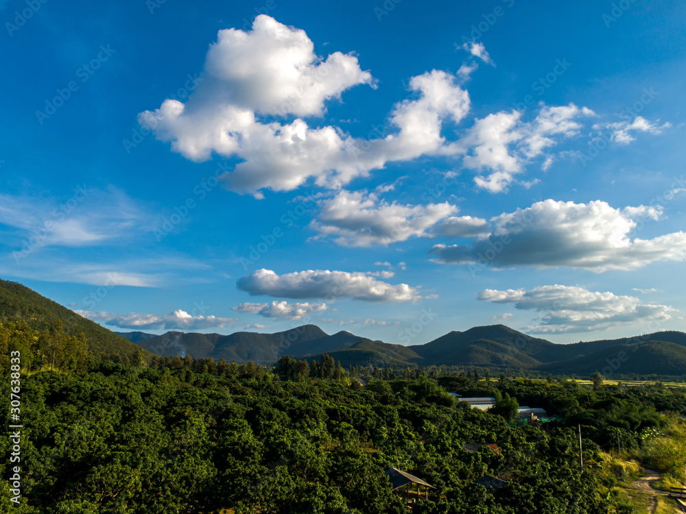 Obraz premium Aerial top view forest. Asia tropical green forest with mountains.