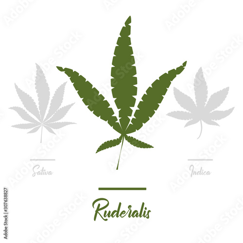 Marijuana, Cannabis icons. Set of medical marijuana icons. Drug consumption.