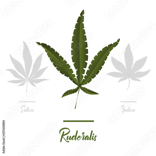Marijuana, Cannabis icons. Set of medical marijuana icons. Drug consumption.
