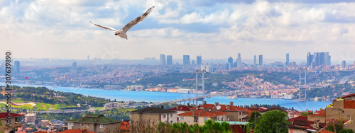 Obraz na płótnie The Bosphorus Bridge, view from the Asian side of Istanbul w salonie
