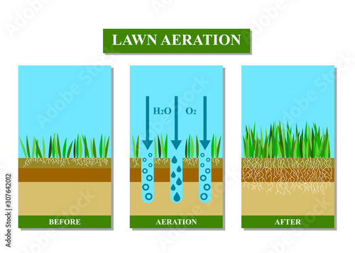 Lawn aeration before and after, vector illustration.