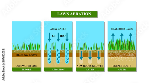 Lawn aeration before and after, vector illustration. photo