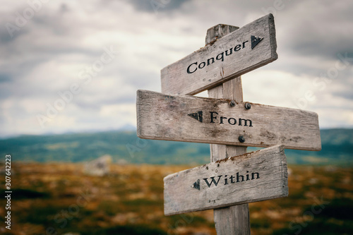 Conquer from within text on wooden rustic signpost outdoors in nature/mountain scenery.