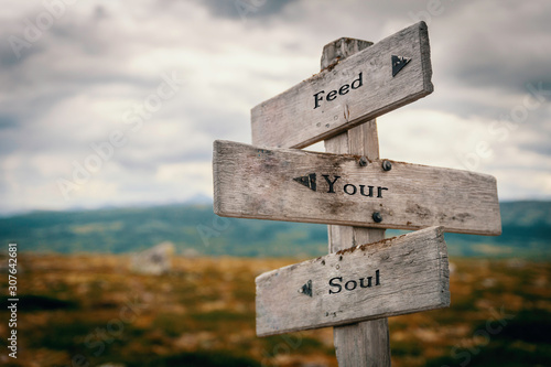 Fotótapéta Feed your soul text on wooden rustic signpost outdoors in nature/mountain scenery