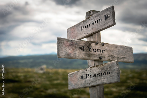 Obraz na płótnie Pursue your passion text on wooden rustic signpost outdoors in nature/mountain scenery