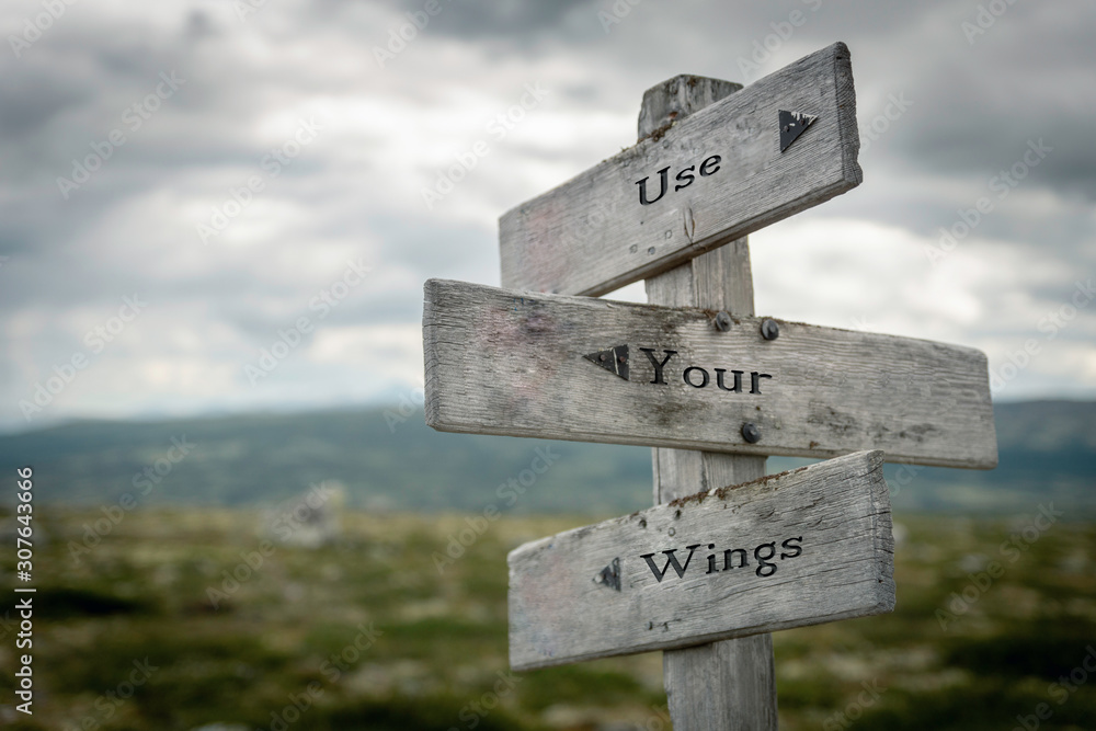 Use your wings text on wooden rustic signpost outdoors in nature/mountain scenery. Wisdom and freedom concept. Use your wings text on wooden rustic signpost outdoors in nature/mountain scenery. Wisdom and freedom concept.