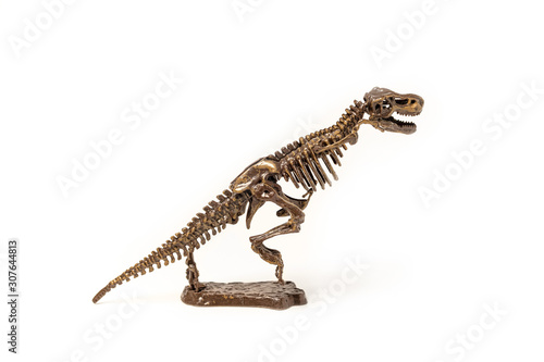 Tyrannosaurus dinosaur skeleton on a white background.