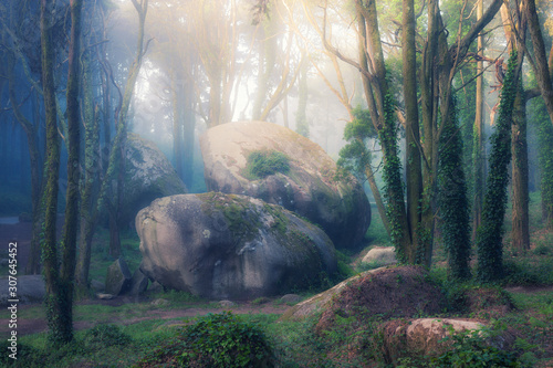 Beautiful mystical forest in a summer morning. Scenery with path in dreamy foggy forest