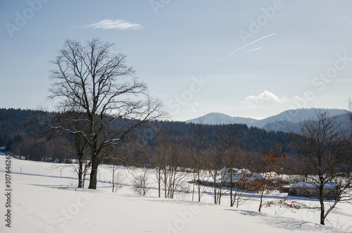 Winterlandschaft Bayrischem Wald