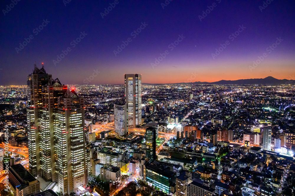 Fototapeta premium 新宿の夜景