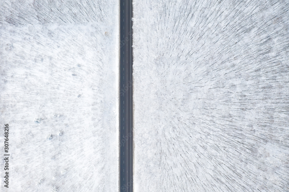 Fototapeta premium beautiful winter forest and the road
