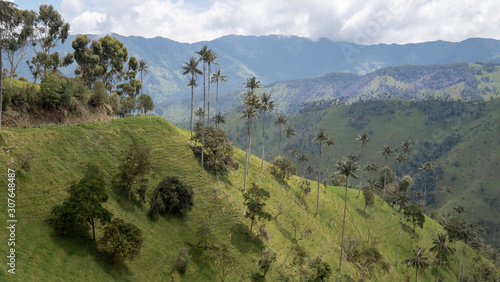 Cocora valley, Salento, Colombia