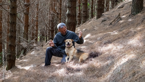 Slika na platnu Happy and playfull dog with owner at pine trees forest