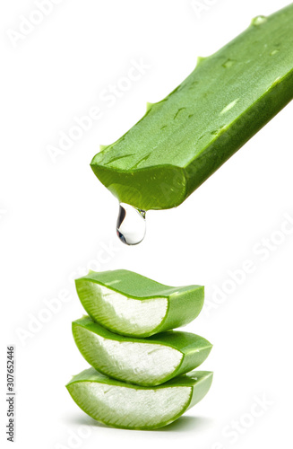 Fotografie Aloe vera pieces isolated on a white background.