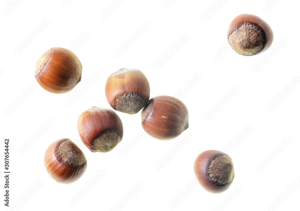 Hazelnuts nuts isolated on a white background Hazelnuts nuts isolated on a white background