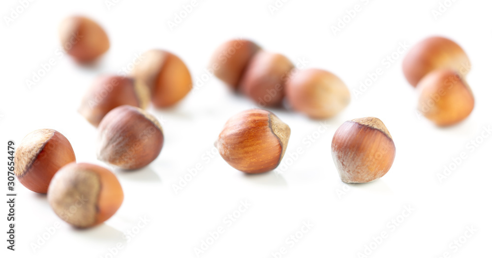 Hazelnuts nuts isolated on a white background Hazelnuts nuts isolated on a white background
