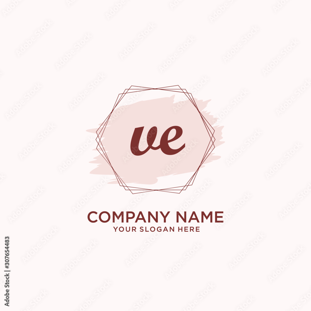 Initial VE handwriting Logo, and Brush and hexagon lines template Initial VE handwriting Logo, and Brush and hexagon lines template